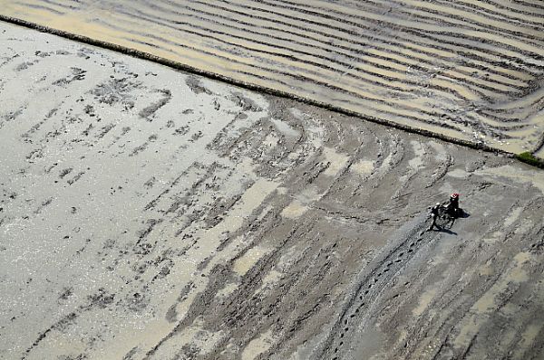 A field in the Aklan is flooded after Typhoon Fengshen hit the region.